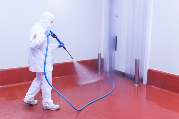 Paint Preparation in Merrimac, VA